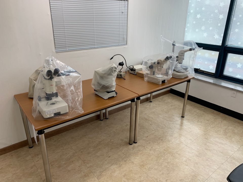 실체 및 광학 현미경